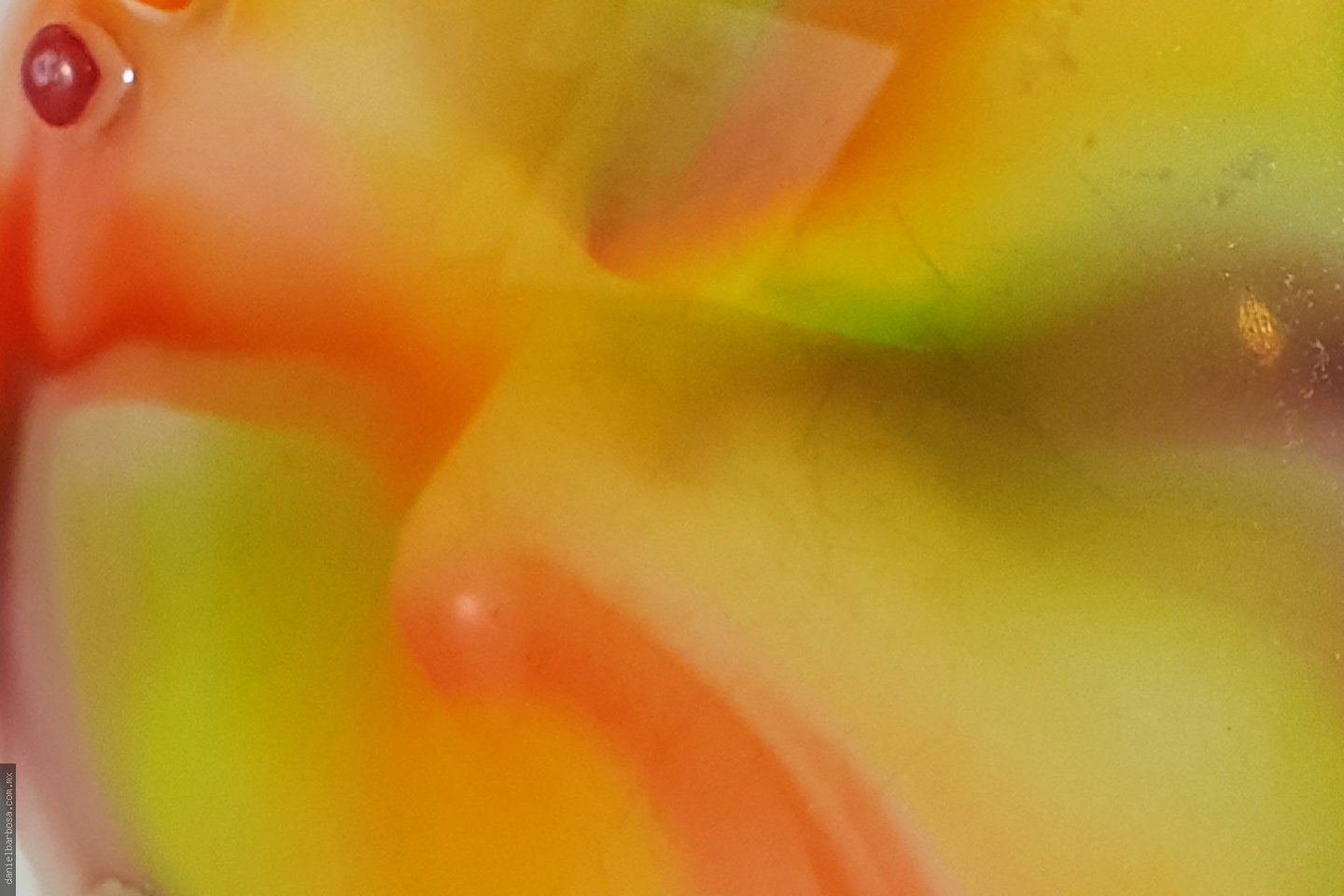 Tropical flavor, magic colors!!!